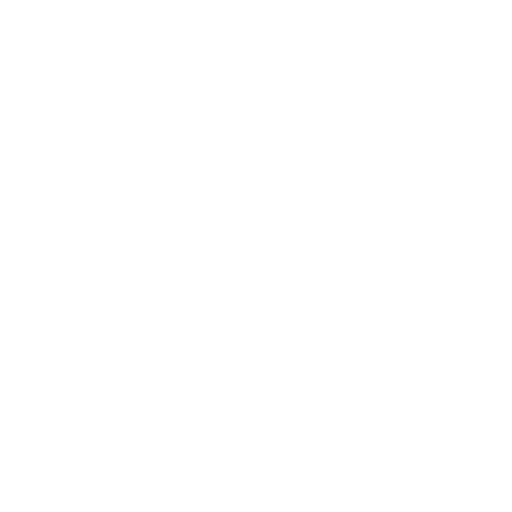 walking-stick